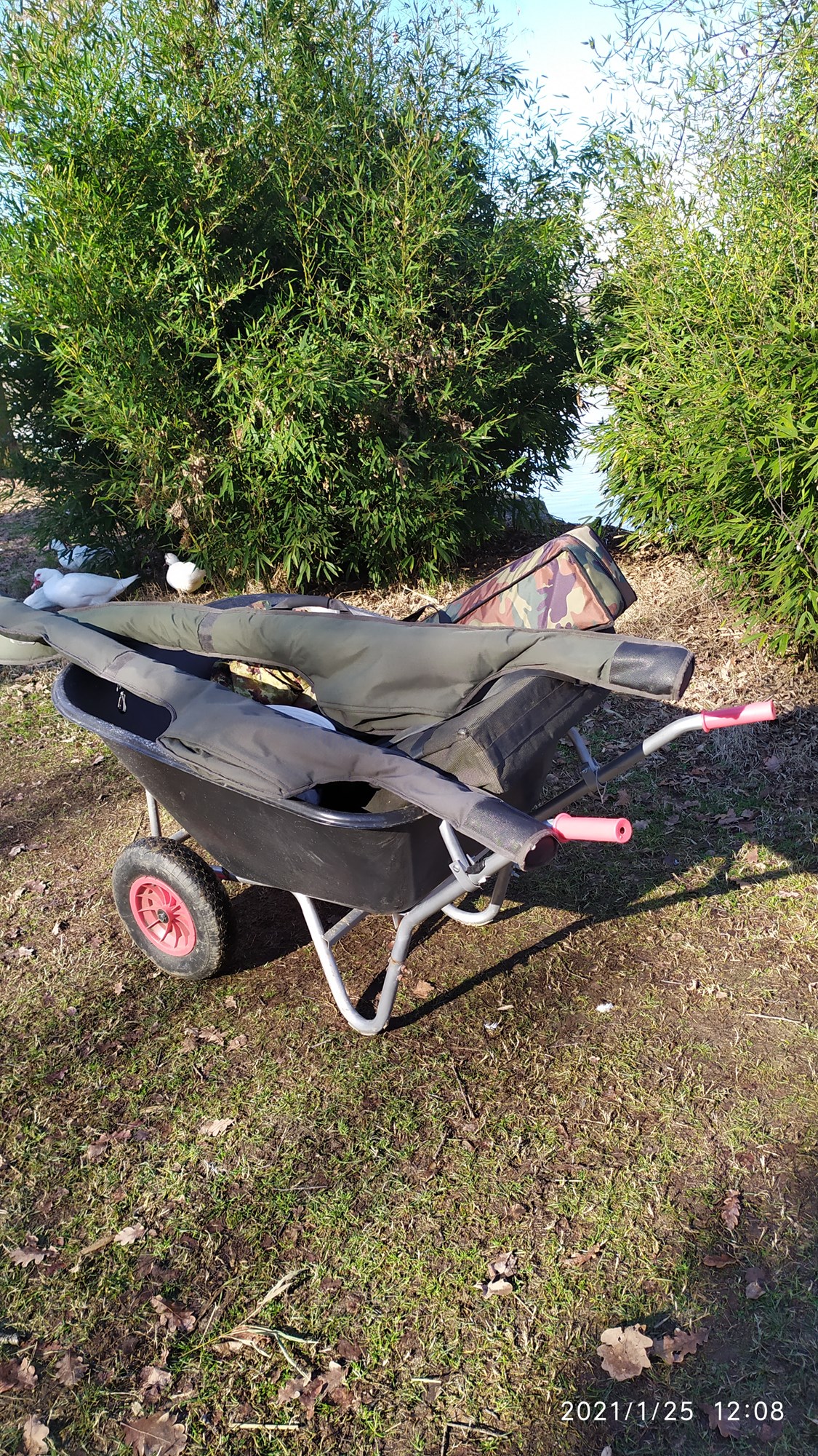 Gioia lake 25 ianuarie 2021 - IMG20210125120805.jpg